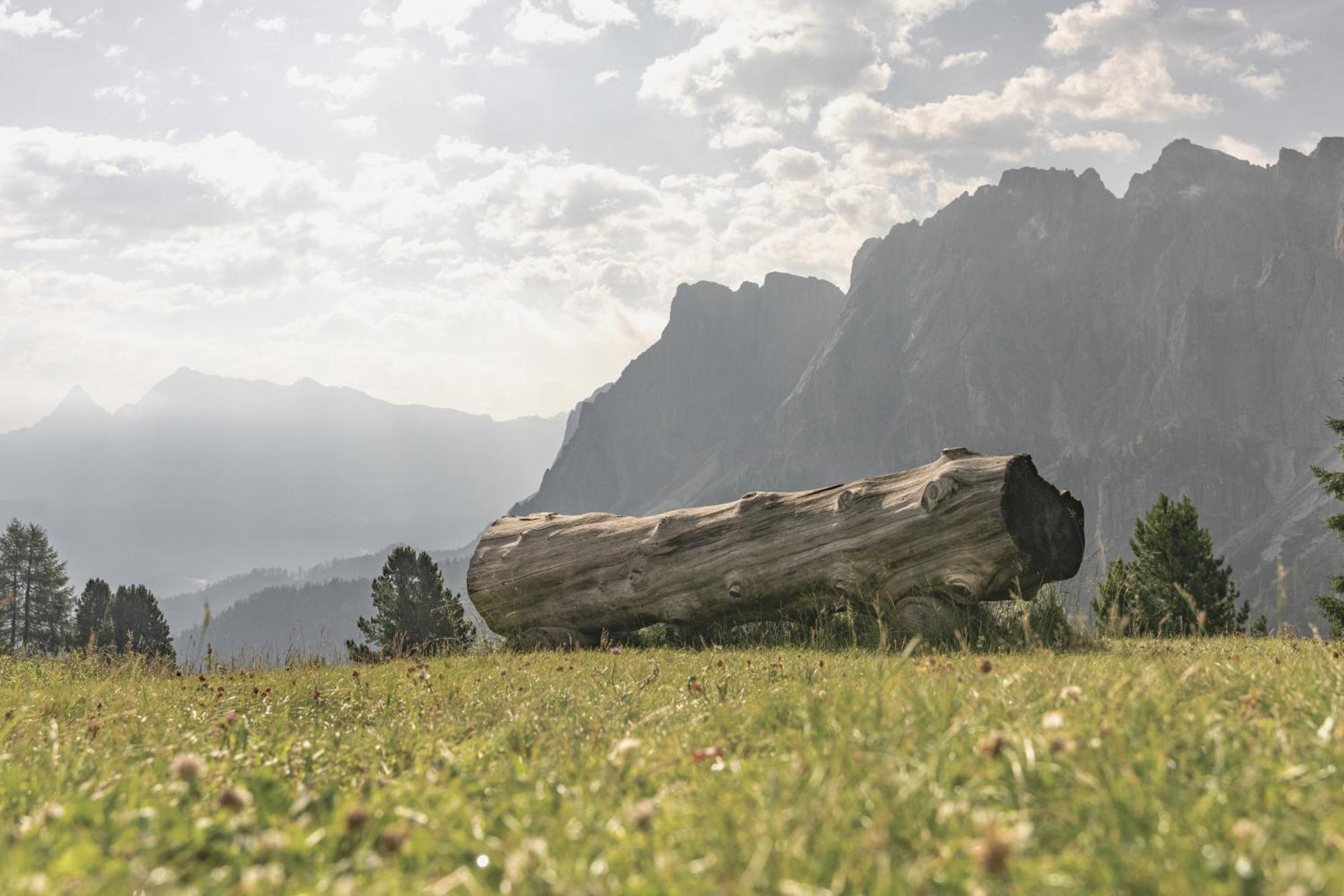 Апартаменты Ciasa Iachin - Dolomites Dream Retreat Сан-Мартино-ин-Бадия Экстерьер фото