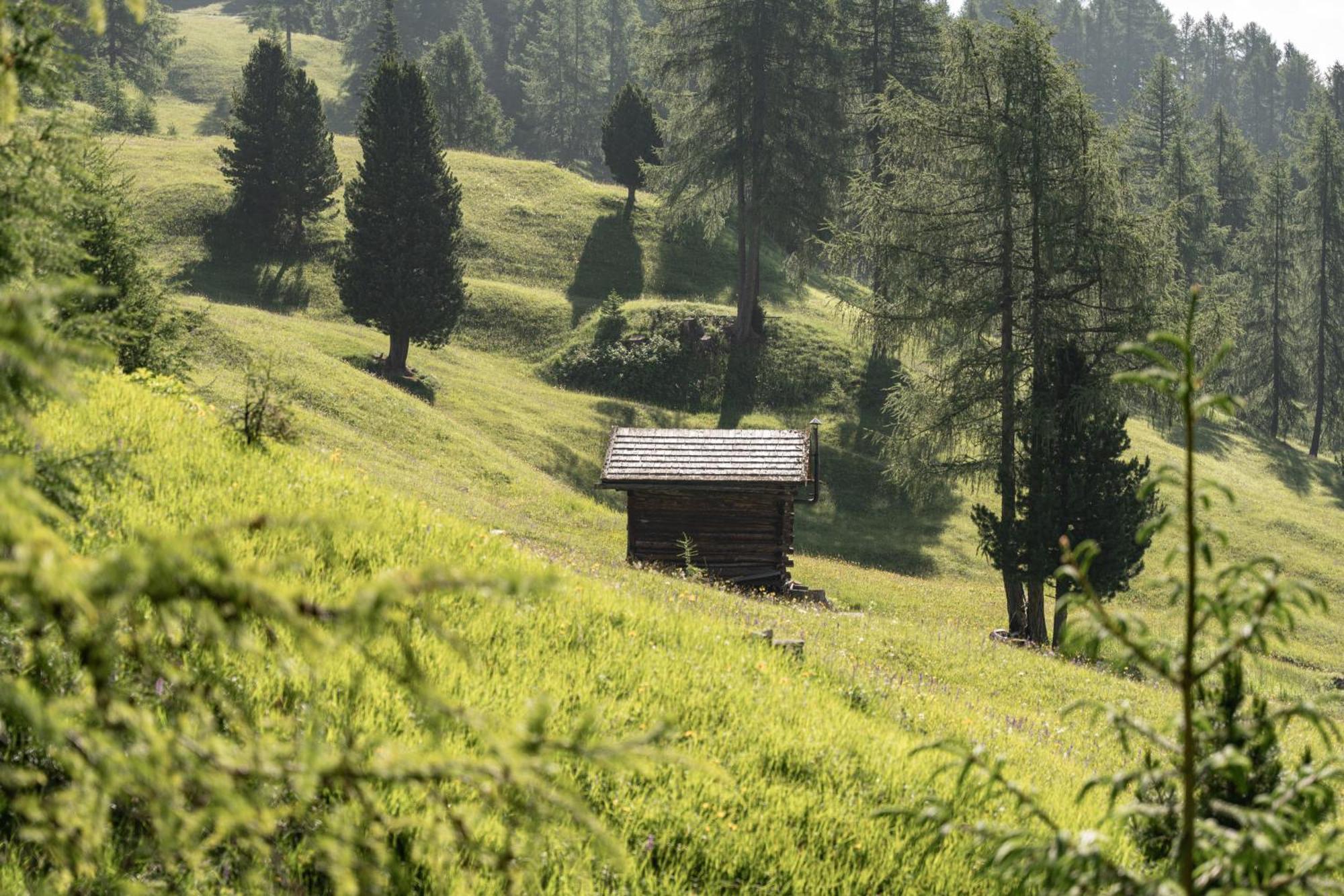 Апартаменты Ciasa Iachin - Dolomites Dream Retreat Сан-Мартино-ин-Бадия Экстерьер фото