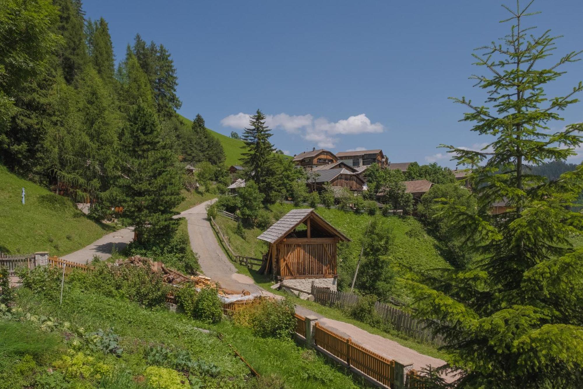 Апартаменты Ciasa Iachin - Dolomites Dream Retreat Сан-Мартино-ин-Бадия Экстерьер фото