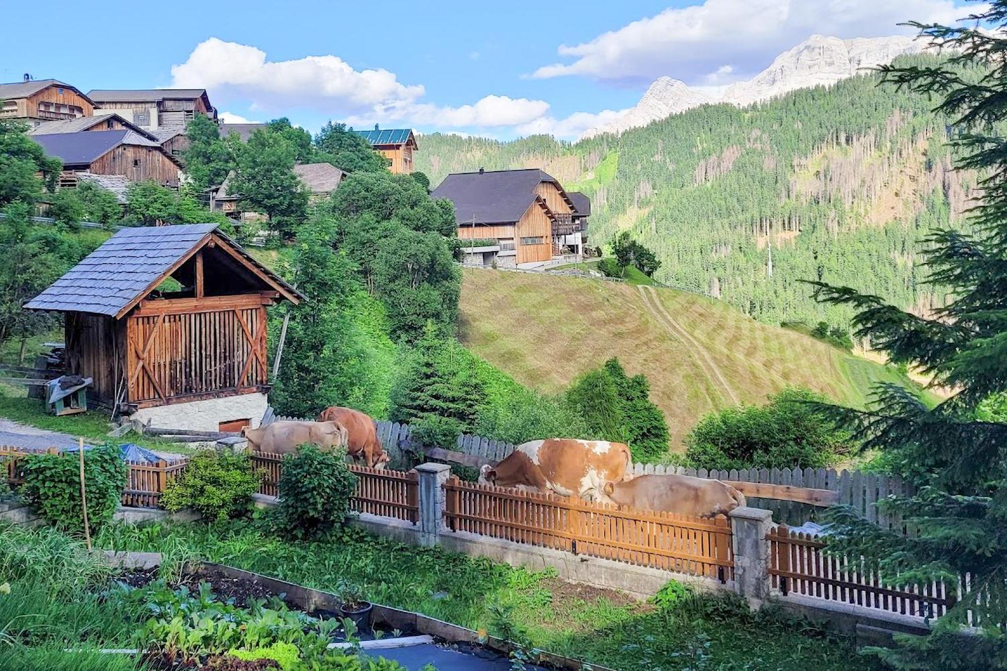 Апартаменты Ciasa Iachin - Dolomites Dream Retreat Сан-Мартино-ин-Бадия Экстерьер фото